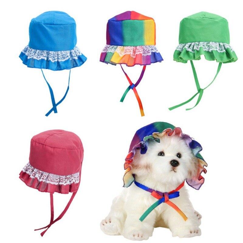 dog beach accessories