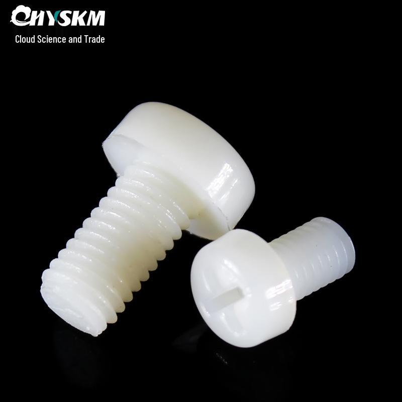 Vite in Nylon PA66 a Testa Tonda - M2, M3, M4, M5, M6, M8 Bullone di Fissaggio in Plastica