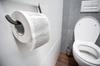 Maze Toilet Paper 1pc
