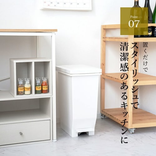 Asvel Trash Can with Lid, Diaper & Pet Sheet Compatible, 45L, Airtight, Evan MP Sealed Pedal, Prevents Odor Leaks, White, A6302