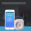 Graffiti Tuya WiFi Infrared Motion Sensor for Alexa