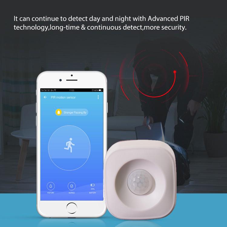 Graffiti Tuya WiFi Infrared Motion Sensor for Alexa