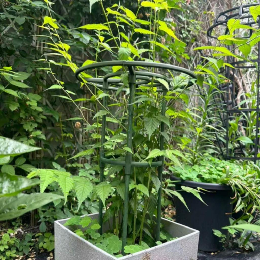 2 Pieces Coated Plant Trellis Rust-Resistant Iron Support with Pointed