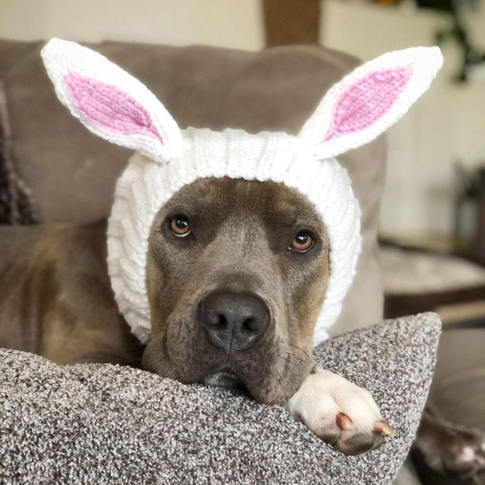Dinosaur/Brown Bear Halloween Knitted Pet Hat Soft Breathable Rabbit Ear Dog Hat Deer/Black Bull Shape Wool Knitted Puppy Cap
