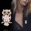 Retro Fashion Cat Eye Stone Owl Brooch For Women Clothing Coat Accessories Gifts