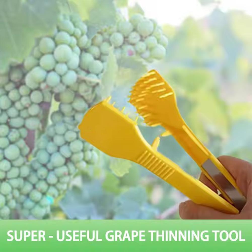 Manufacturers Direct Grape Carding Flower Fruit Clip Quality Fruit Improve To M1F4