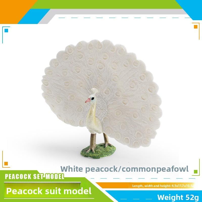 

Wild Bird Peafowl Model For Children Educational Toy With Pvc Material White
