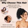 MISSQUEEN Extensiones de Cola de Caballo Sintética Corta Rizada con Cordón Ajustable Clip en Extensiones de Cabello Peluca para Uso Diario de Aspecto Natural