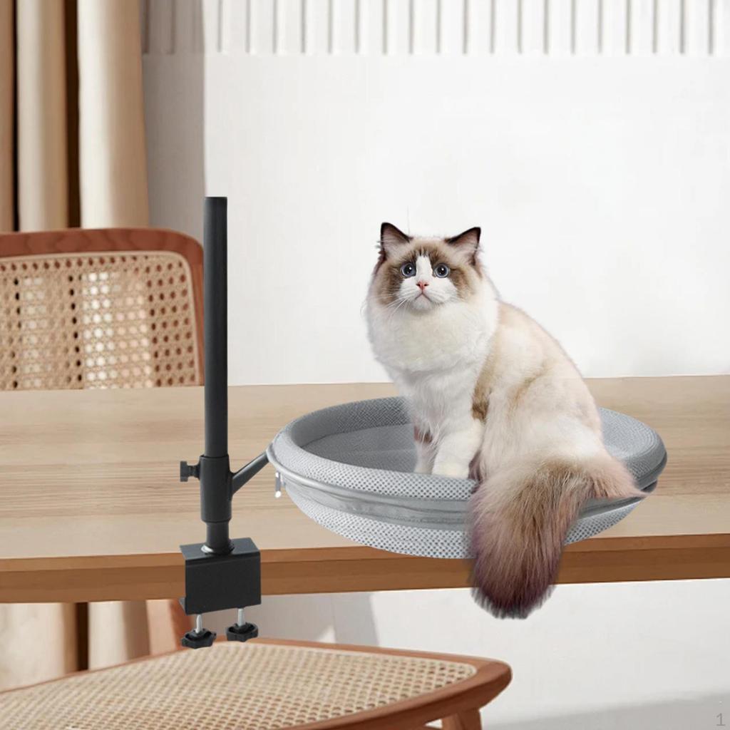 Katteseng for skrivebordsklemfeste Støtter opptil 60 lbs Hengekøye Abbor Nattbord