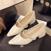 French Fairy Pointed High Heels Summer Temperament All-match Thick Heel Single Shoes Women's Shoes
