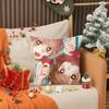 Blue Box Anime Pillow Case Living Room Sofa Decorative Cushion Cover Simple Household Light Luxury Printed Pillow