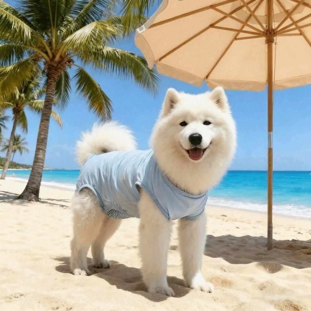 Breathable Pet Sterilization Suit Soft with Drainage Net Cat Recovery Suit Cat Vest Sleeveless Cat Weaning Suit Spayed/Neutered