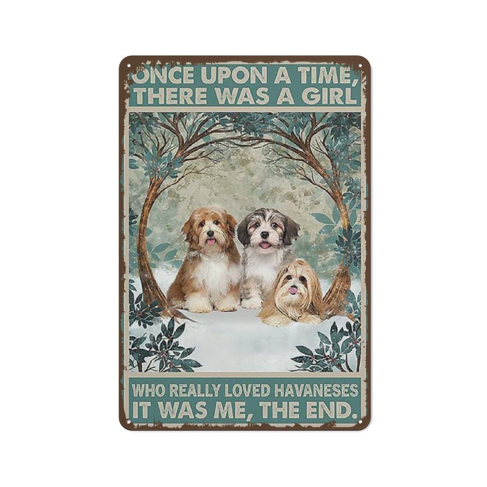 

Once Upon A Time There was A Girl Who Loved Havaneses Vintage Metal Sign Retro Tin Sign Art Home Decoration for Living Room Shop 20x30cm（7.8x11.8inch）