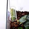 5PCS Acrylic Betta Fish Avoiding Pipes Aquarium Betta Fish Tube Tunnel Small Fish Shrimp Hiding Nest Pipe Fish Tank Decorations