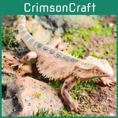 Tier Lacertas Reptilien Modell Spielzeug Aus Kunststoff Für Kinder Spiel Bildung