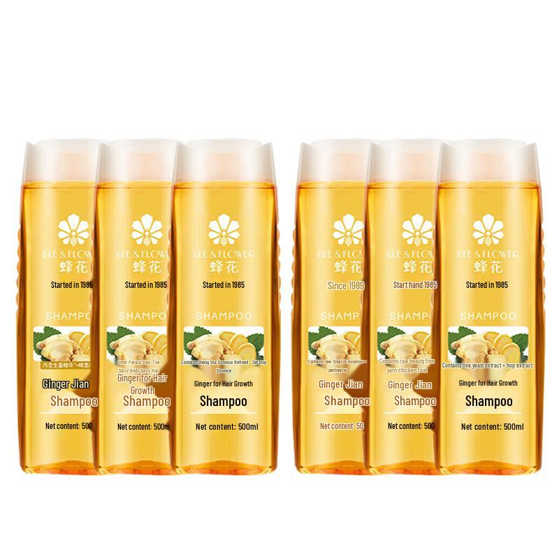 Fenghua Anti-Dandruff & Oil Control Ginger Shampoo