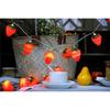 3 Meters 20LED Strawberry String Lights Battery Powered Indoor Outdoor Lighting Lamp for Wedding