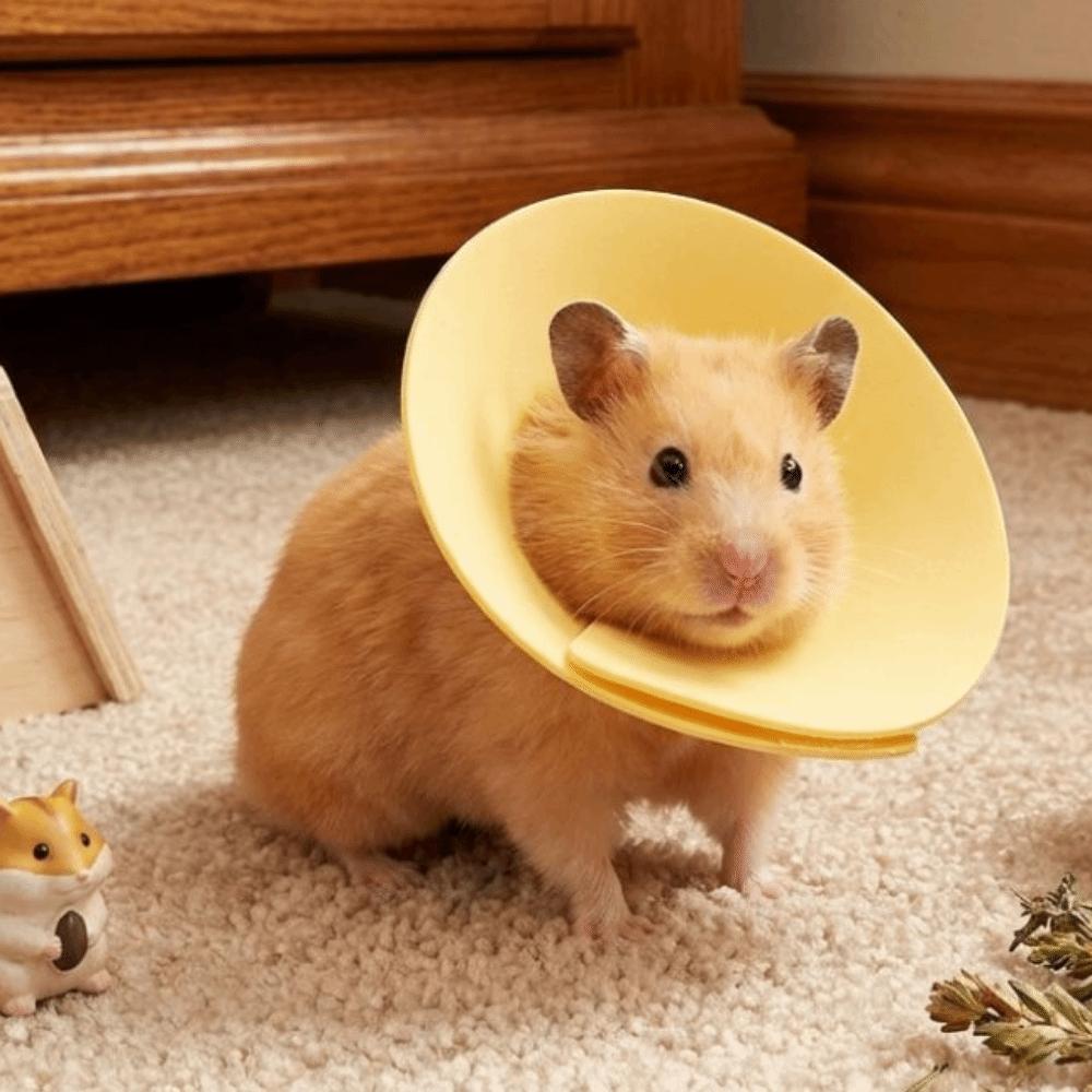 Coleira Anti-Lambedura Ajustável Coleira Protetora Anti-Mordida para Pássaro Hamster Coelho