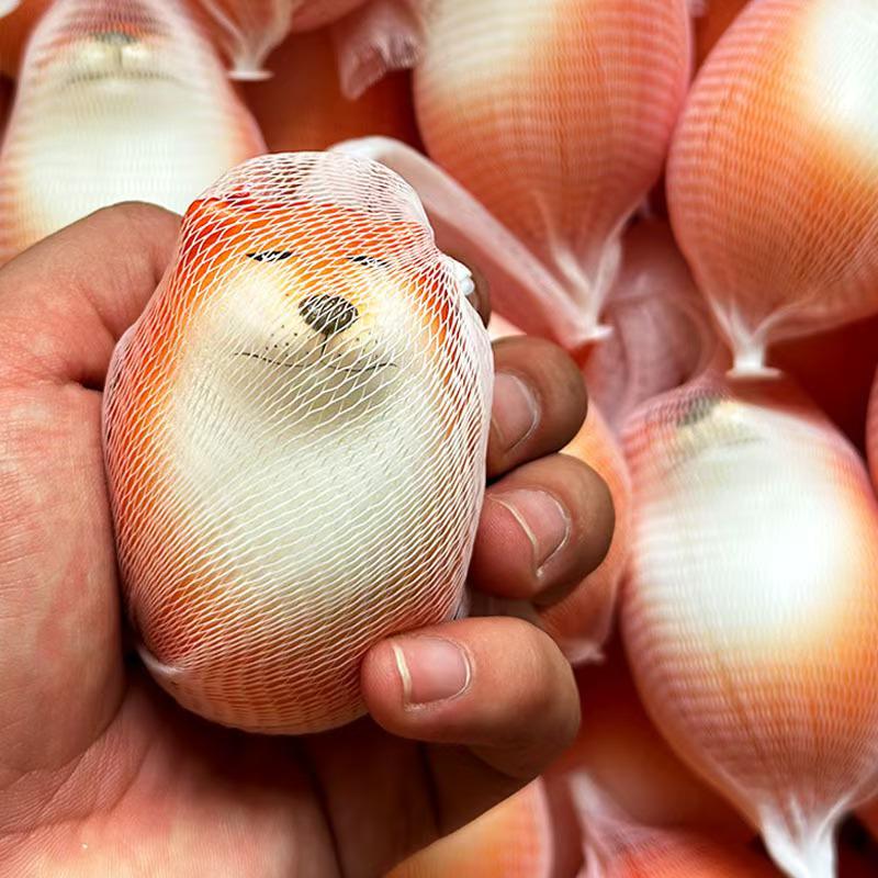 Großes Wassermelonen-Knetspielzeug mit langsamer Rückfederung für Mittelschüler - Stressabbau-Lebensmittelspielzeug für Jungen und Mädchen