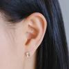 Cornice Earring