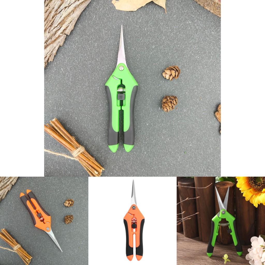 Moderne Gartenschere mit Edelstahlkonstruktion für Fruchternte und Baumpflege