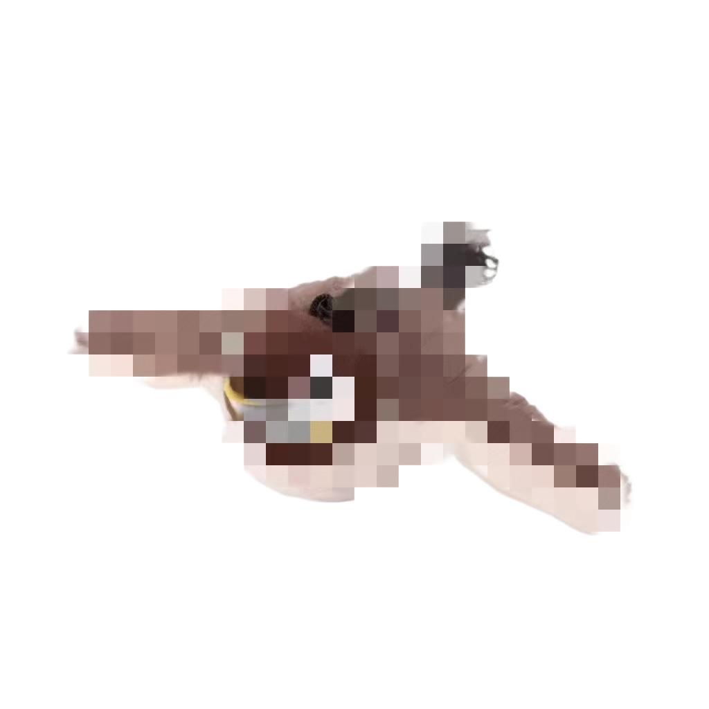 Elektrická třesoucí se hračka ptáček pro kočky - Interaktivní a vzdělávací zábava pro kočky