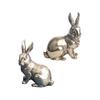 Bunny Figurines Ornaments Table decor Sculptures Home Decor Sculptures Rabbit Statue for Yard Nightstands Patio Desk