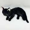 Simulation Cat Doll Party Models Kitten Plush Toys Home Furnishings Simulation Cat