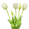 White tulips - Rubber bouquet with tulips 39 cm Real Touch color 6