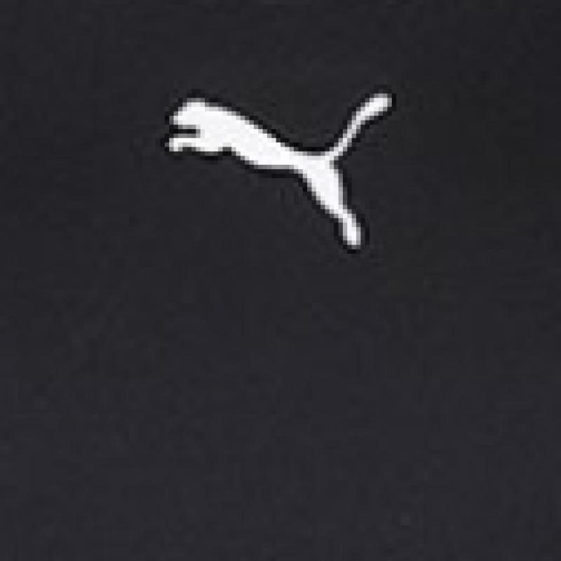 Puma Liga BaSe Layer Tee L S