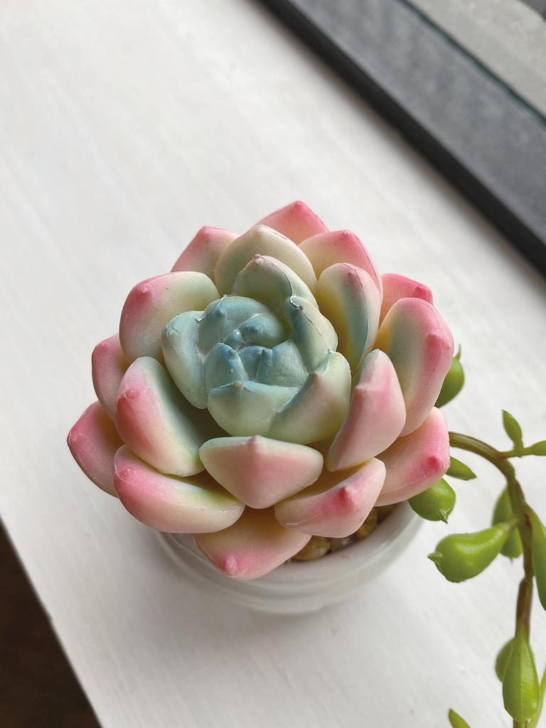 Kishima Eclear Deodorizing Artificial D7 H13 Green, Green, Size Approx. W18.5 KH-61188