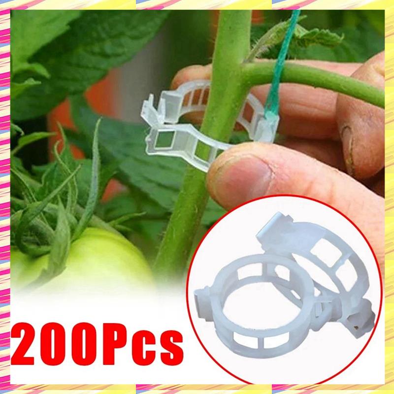 ABJJ 200 PCS Plant Support Clips Reusable Plastic For Vegetable Tomato Garden Supplies,B