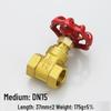 WMN DN15 Brass Gate Valve
