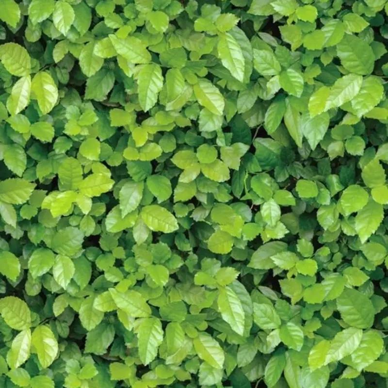 Europäischer Stil Selbstklebende Tapete Wasserdicht Wohnzimmer Schlafzimmer Tapete Blumen Kontaktpapier Heimdekorationsaufkleber