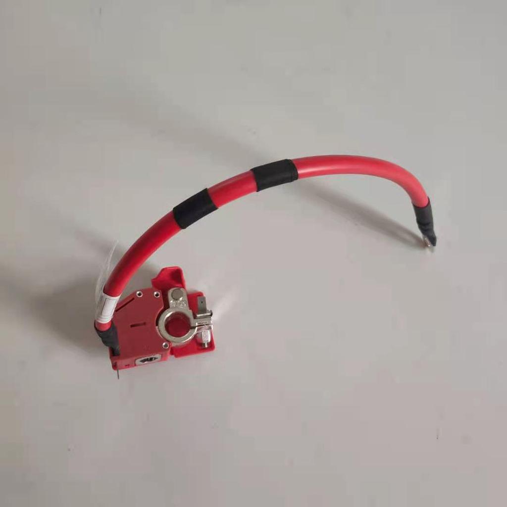 Positives Batteriekabel für BMW 3er G20/G28 (Teil 61128796959)