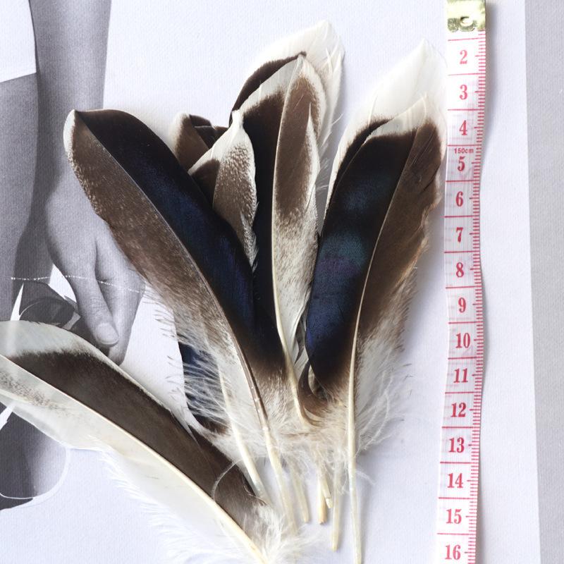 Primary Color Pheasant Hair Duck Feathers Handicrafts Indian Headdress Decorative Materials