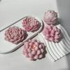 DIY Geometric Silicone Mold Succulents Shape Concrete Moulds Realistic Craft Molds Resin Moulds for Hand-Making Candle