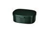 Tatsumiya HAKOYA Lunch Dark Product Made In Japan Quick-Wash Box, Large, 900ml, Green, Smooth, Number 303490,