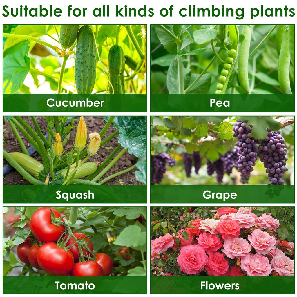 Treliça para Plantas em A Kit de Treliça para Escalada de Vegetais à Prova de Ferrugem com Rede de Escalada Suporte para Treliça de Pepino para Jardinagem ao Ar Livre
