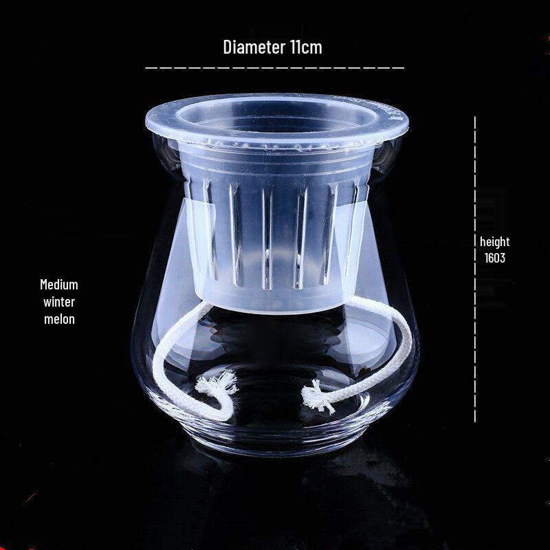 Hydroponic Glass Cylinder Vase for Pothos & Peace Lily - Transparent Water Culture Container with Free Shipping.