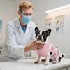 Kuoser Recovery Suit for Dogs Cats After Surgery, Professional Pet Recovery Shirt Dog Abdominal Wounds Bandages, Substitute E-Collar & Cone,Prevent