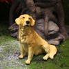 Golden Simulated Retriever Resin Handicrafts Suitable For Animal Gift Collectors