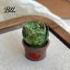 Potted Plant Magnet Cartoon Cactus Fridge Resin 3D Mini Magnetic Home Decor Plants Refrigerator Kitchen Office Decoration