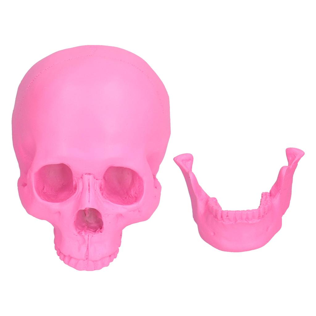 Pryskyřičná Halloweenská Dekorace Lebky Festivalové Domácí Rekvizity Falešná Celá Lebka Ozdoby Růžová