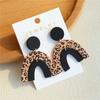 Jewelry personality temperament ladies earrings