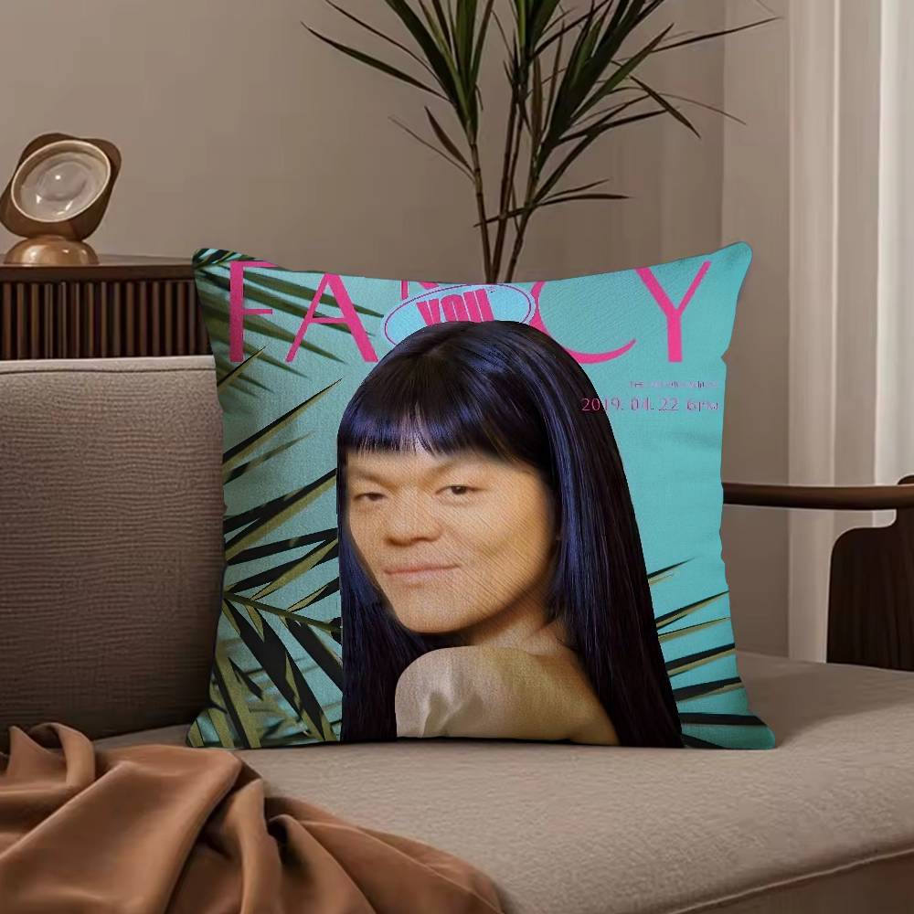 Funny J-JYP Meme Pillow Case Anti-dustmite Pillowcase Invisible zipper silky short plush Sofa cushion cover
