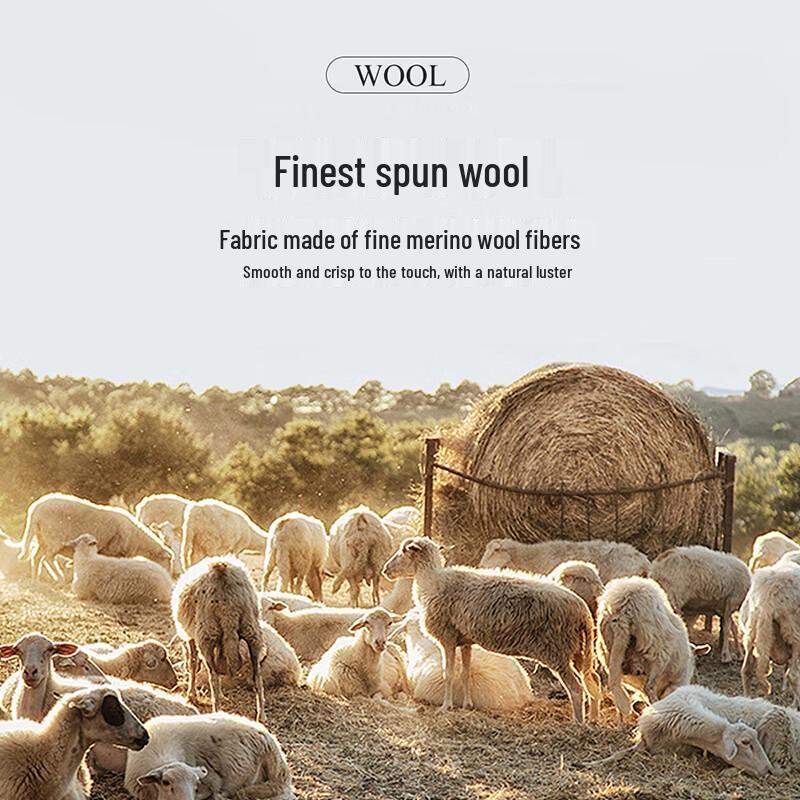 Antonio Men's Business Worsted Wool Lapel Jacket