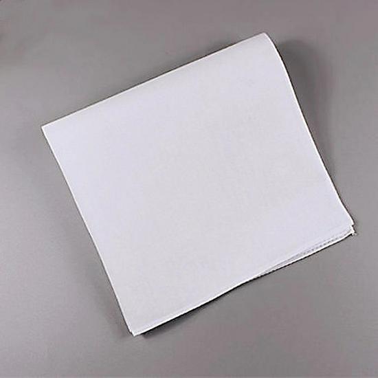 

Eco-Print Natural Dye DIY Scarf Material - White Blank Cloth for Handmade Plant Dyeing