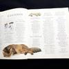 [USED] The New Encyclopedia of the Cat
