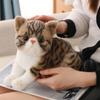 Plush Cat Lifelike Cat Plush Toy Stuffed Aniamls Simulation Cat Toy Stuffed Cat Doll  Home Decor